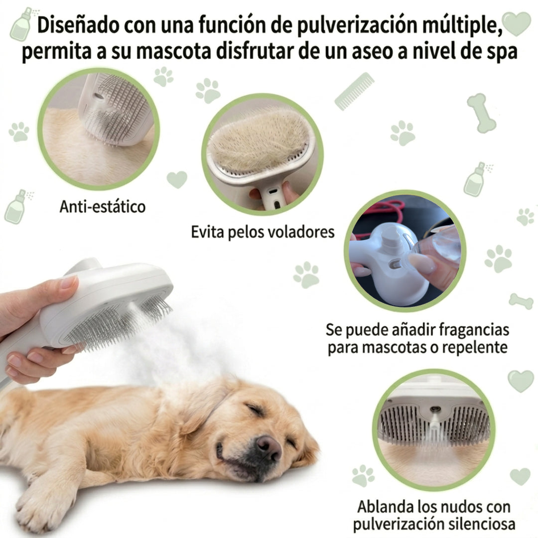 Cepillo masajeador con vapor