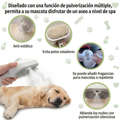 Cepillo masajeador con vapor