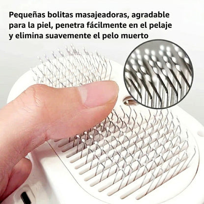 Cepillo masajeador con vapor